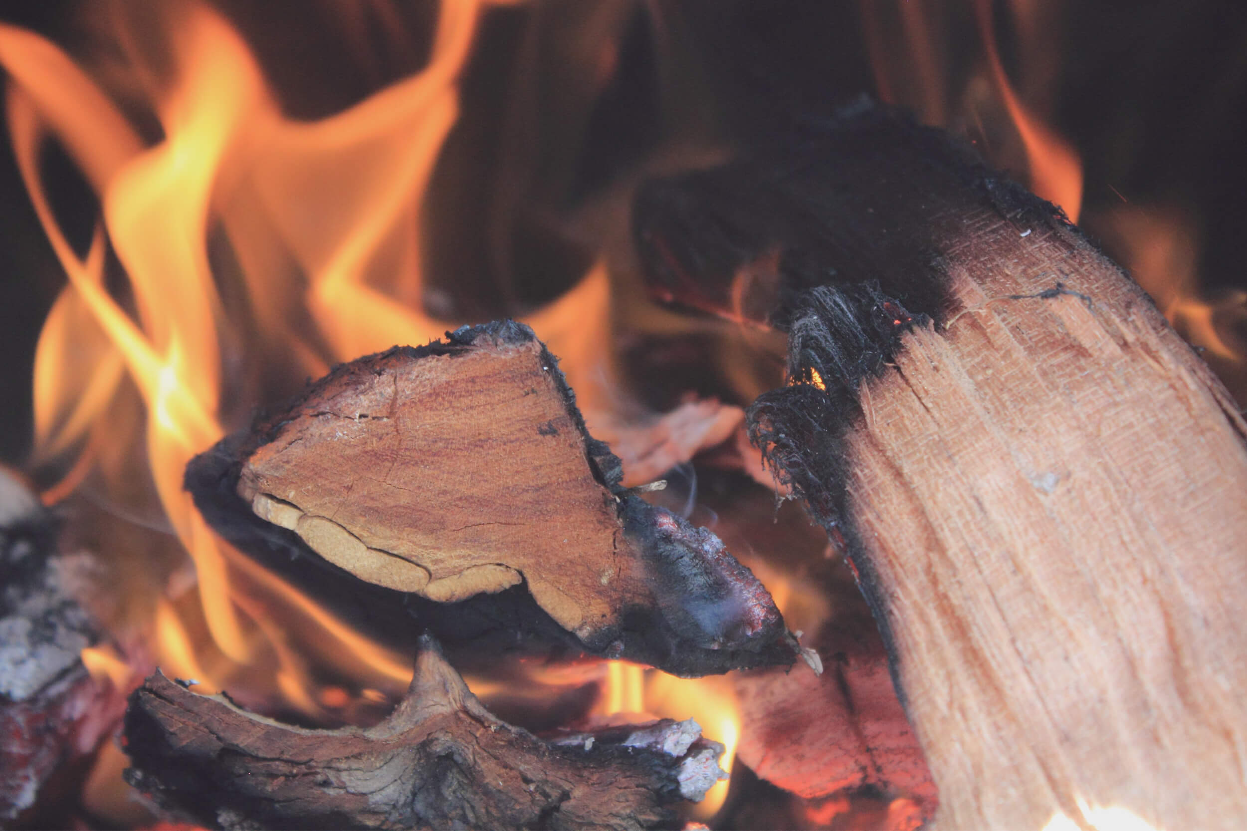 Firewood_2500x1666